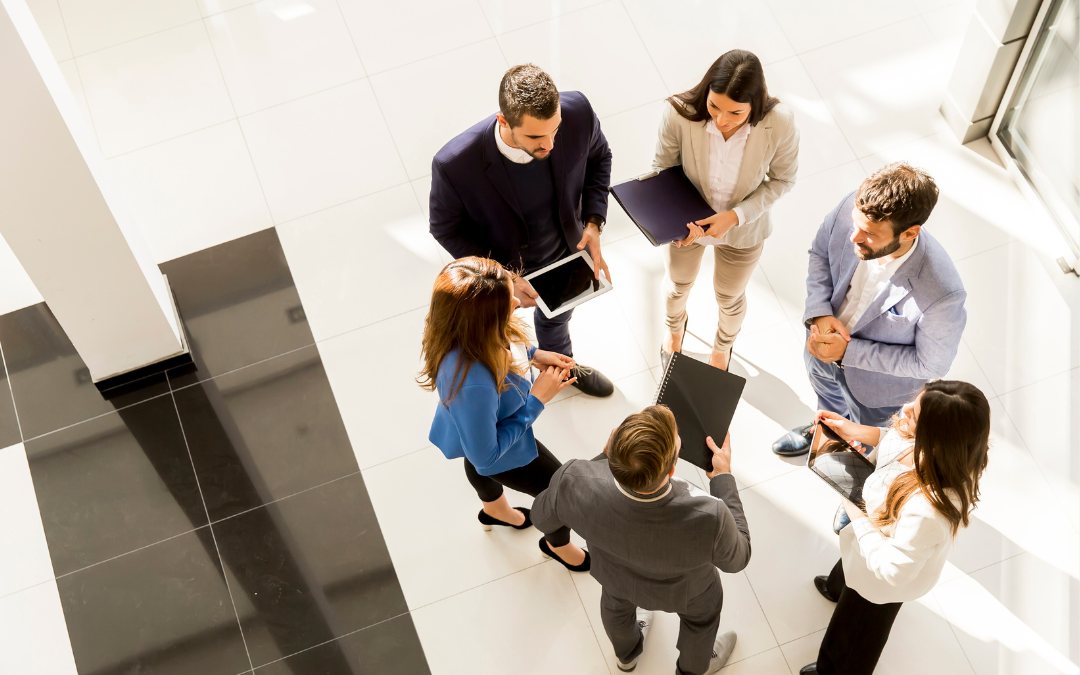 From Launch to Longevity: Polish Business Dynamic